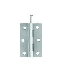 Loose Pin Light Butt Hinge - Pair 100mm Electro Brass and Bright Zinc Plated