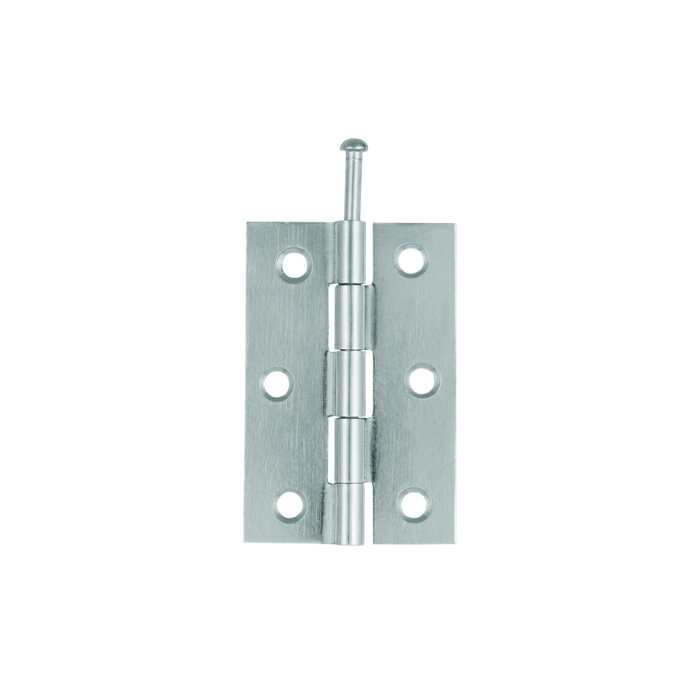 Loose Pin Light Butt Hinge - Pair 100mm Electro Brass and Bright Zinc Plated