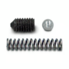 Case Spring & Ballbearing Kit