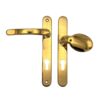 Polished Brass