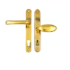 Polished Gold Stainless