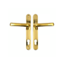 Polished Gold Stainless
