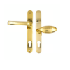 Polished Gold Stainless